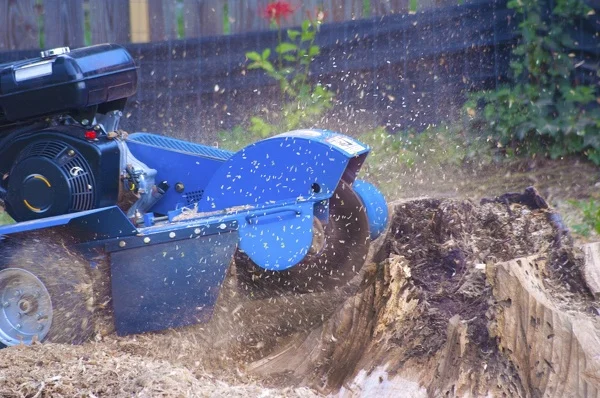 How Long Does It Take To Cut Down A Tree Waldorf MD How Long Does It Take To Cut Down A Tree Waldorf MD