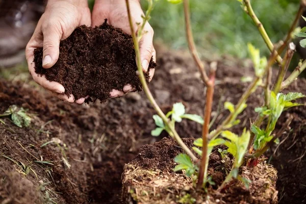 How To Lay Mulch in Waldorf MD