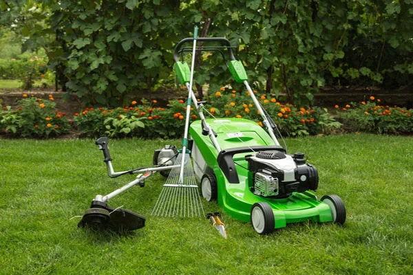 How To Take Care Of Lawn in Waldorf MD How To Take Care Of Lawn in Waldorf MD