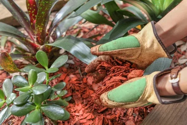 Affordable Mulching Services in Waldorf MD Affordable Mulching Services in Waldorf MD
