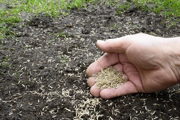 Reliable Mulching Services in Waldorf MD Reliable Mulching Services in Waldorf MD