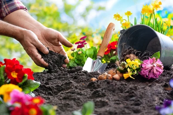 Professional Mulching Services in Waldorf MD Professional Mulching Services in Waldorf MD