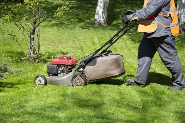 What Is Lawn Care Waldorf MD What Is Lawn Care Waldorf MD