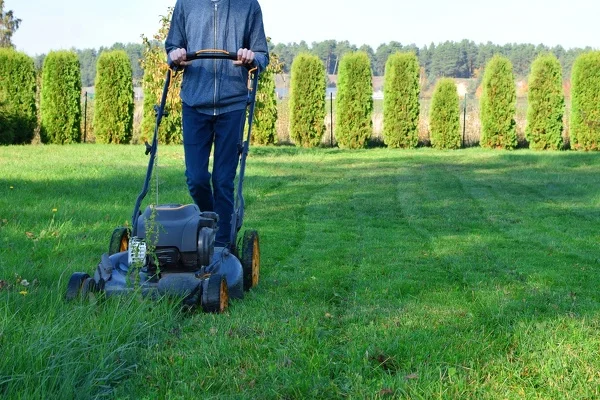 What Is Lawn Care in Waldorf MD What Is Lawn Care in Waldorf MD