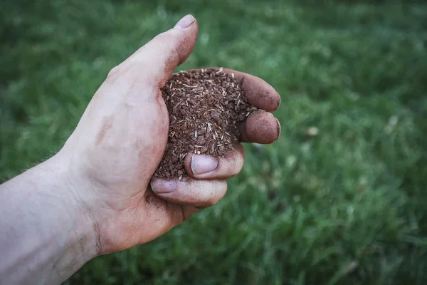 What Is Mulching in Waldorf MD